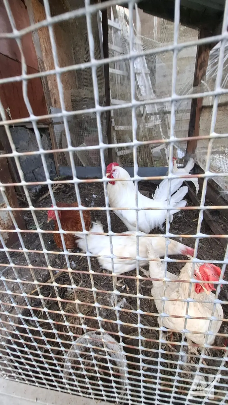 Продам дом