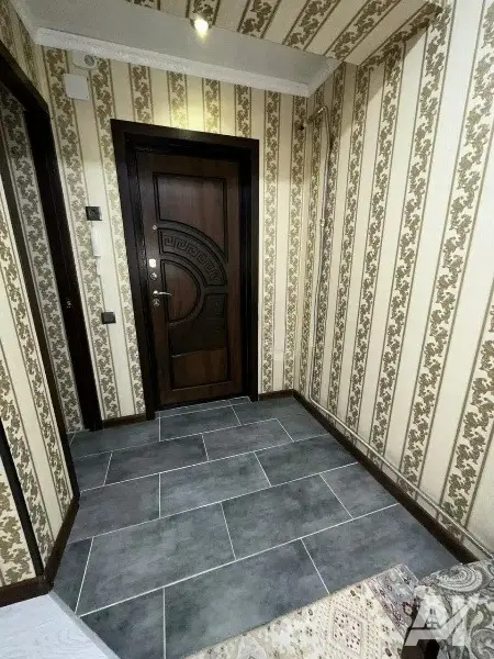 квартира